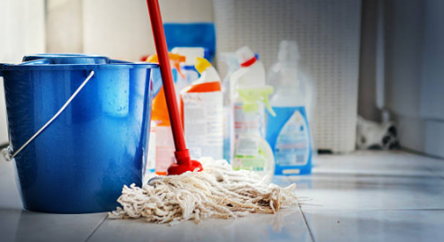 Advantages Of Home Sanitation To Human Beings – House Cleaning
